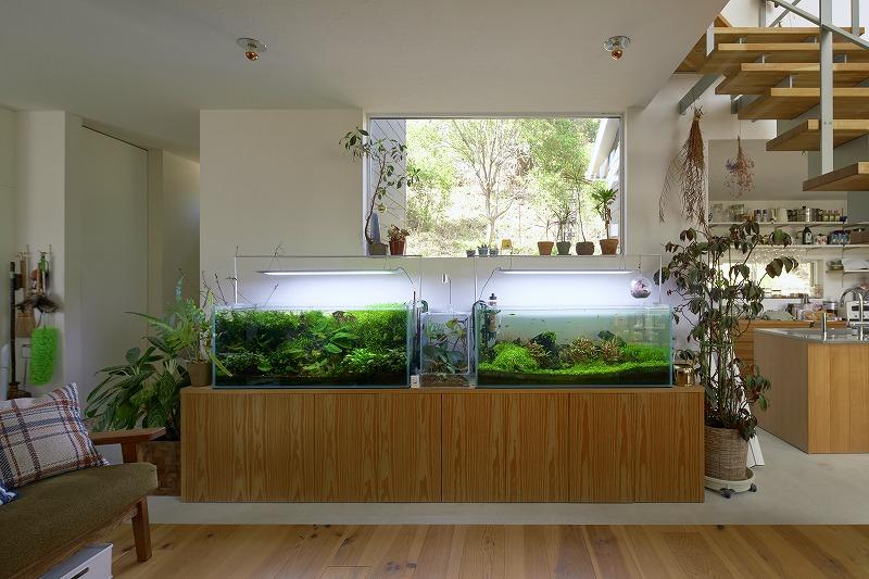 西宮市甲陽園目神山町の売買物件/窓は3方向にあるので、優しい光が入る