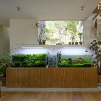 西宮市甲陽園目神山町の売買物件/窓は3方向にあるので、優しい光が入る