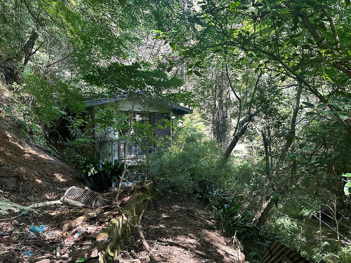 神戸市長田区高取山町の売買物件/物件裏手からの外観。思いっきり山の中です。