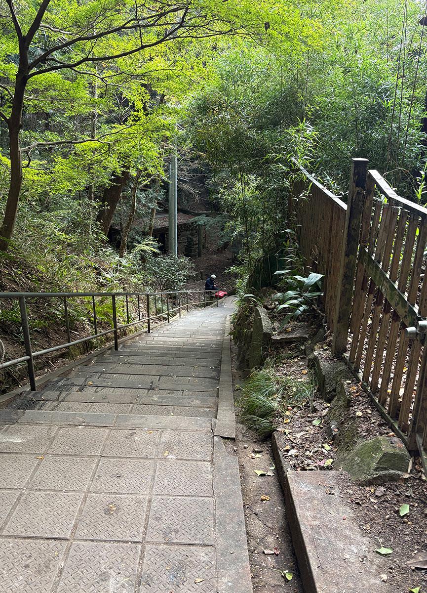 神戸市長田区高取山町の売買物件/物件前の道（階段）は登山道