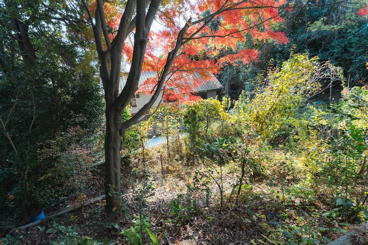 神戸市北区鈴蘭台西町の売買物件/斜面地を下りると畑のできるスペース