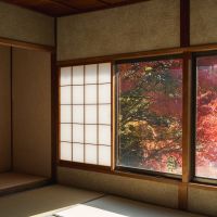 神戸市北区鈴蘭台西町の売買物件/明るい光と紅葉が飛び込んできます