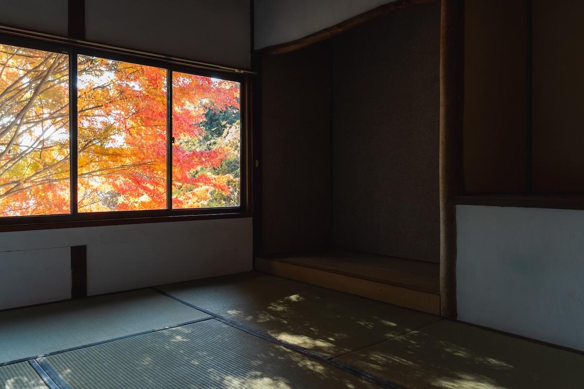 神戸市北区鈴蘭台西町の売買物件/2階座敷の窓一面に紅葉