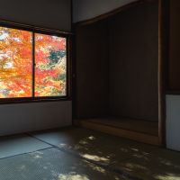 神戸市北区鈴蘭台西町の売買物件/2階座敷の窓一面に紅葉