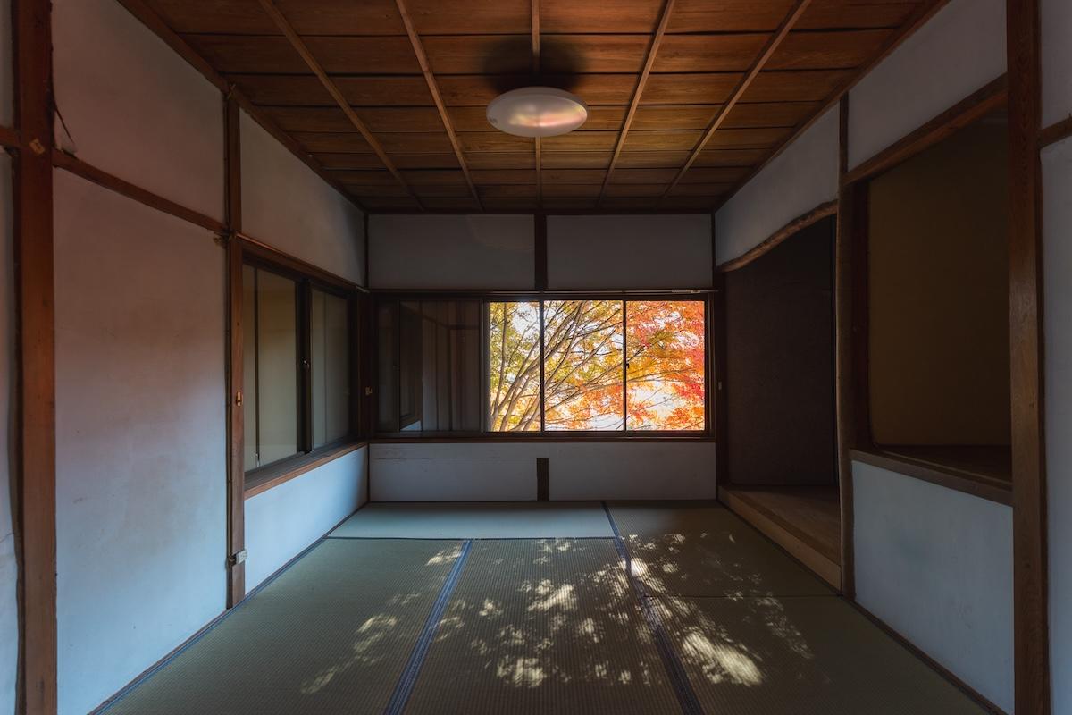 神戸市北区鈴蘭台西町の売買物件/紅葉の木漏れ日