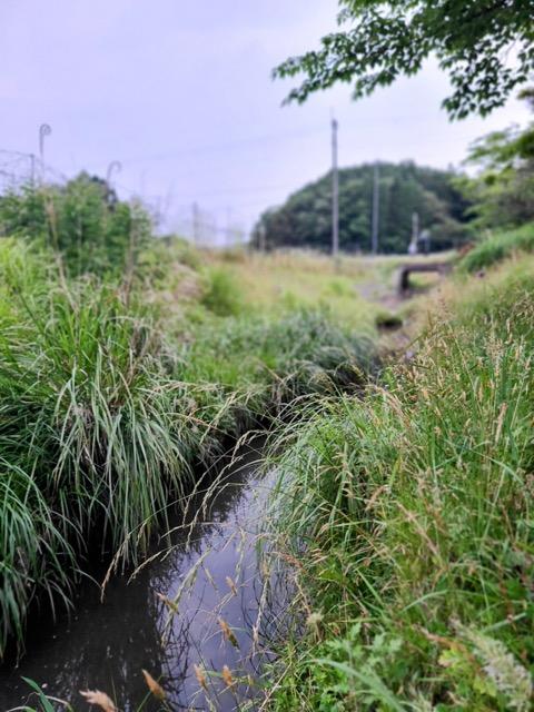 三田市母子の売買物件/物件の裏手には小川が流れる