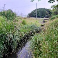 三田市母子の売買物件/物件の裏手には小川が流れる
