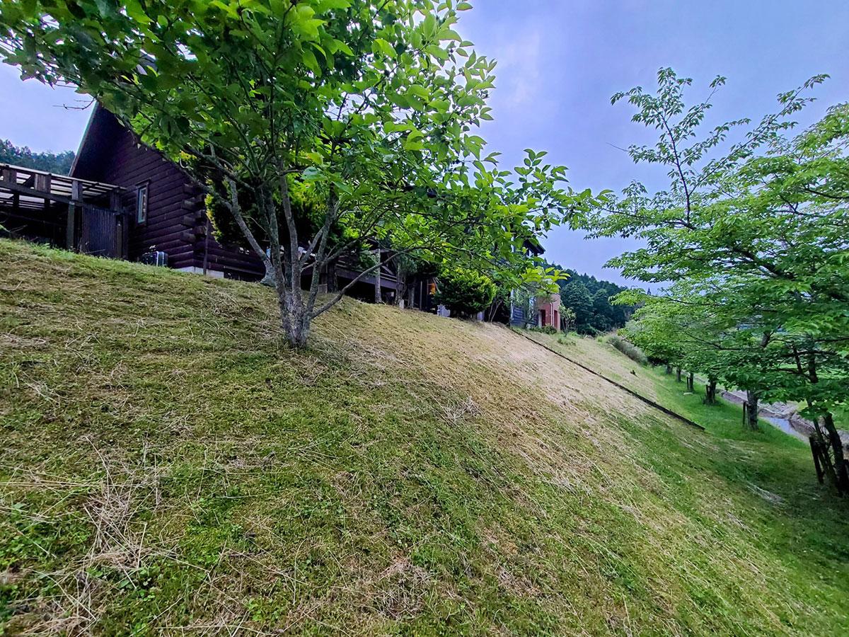 三田市母子の売買物件/物件裏手には桜の木が