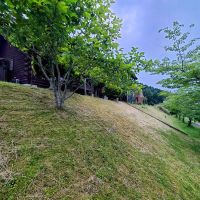 三田市母子の売買物件/物件裏手には桜の木が