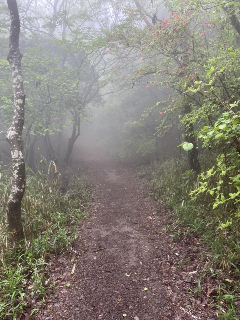神戸市灘区六甲山町西谷山の売買物件/霧の小道を歩いて