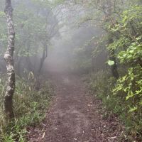 神戸市灘区六甲山町西谷山の売買物件/霧の小道を歩いて