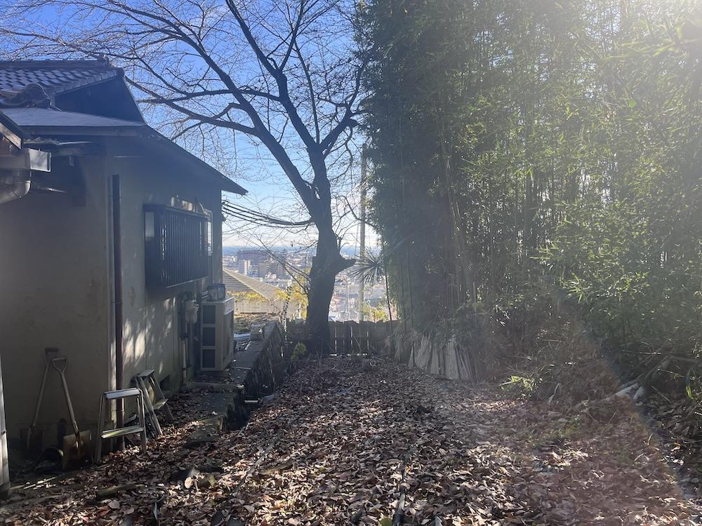 神戸市須磨区上細沢町の売買物件/建物の横にはありまる土地が着いてます。こちらの木は桜です。