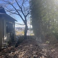 神戸市須磨区上細沢町の売買物件/建物の横にはありまる土地が着いてます。こちらの木は桜です。