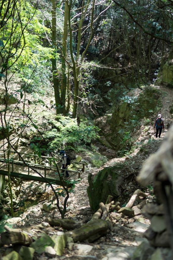 神戸市東灘区岡本の賃貸物件/家から徒歩3分の登山口から気軽にハイキングできます