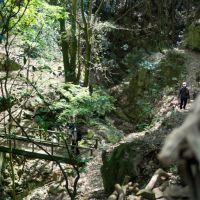 神戸市東灘区岡本の賃貸物件/家から徒歩3分の登山口から気軽にハイキングできます