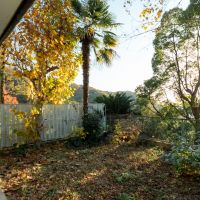 神戸市東灘区岡本の賃貸物件/秋の様子。お隣の庭越しに見える山並みも四季折々楽しめます。