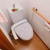 神戸市灘区六甲山町西谷山の売買物件/トイレ