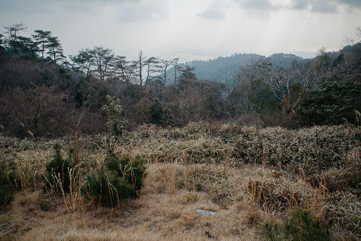 神戸市灘区六甲山町西谷山の売買物件/冬枯れもオツ