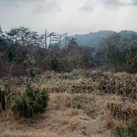 神戸市灘区六甲山町西谷山の売買物件/冬枯れもオツ