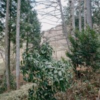 神戸市灘区六甲山町西谷山の売買物件/自然はいつも予想の上！