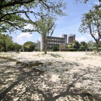 尼崎市杭瀬南新町の賃貸物件/近所の公園。みんな気持ち良さそうに過ごしている。