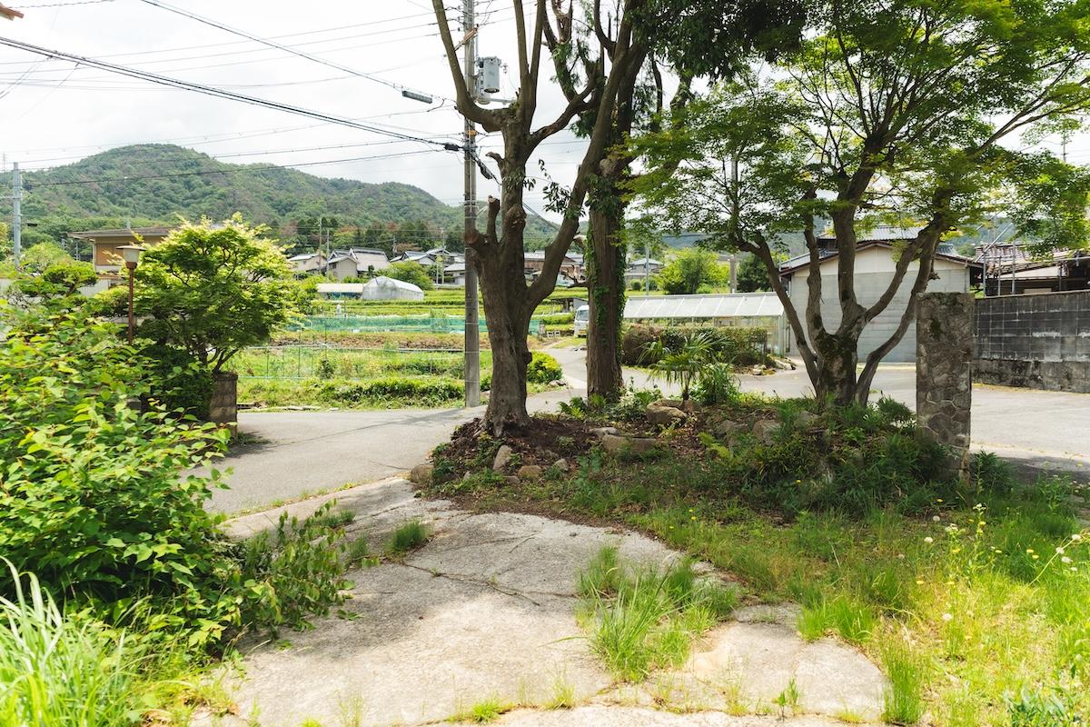 神戸市北区有野町唐櫃の売買物件/段々になった田畑の風景と山並みが見えます