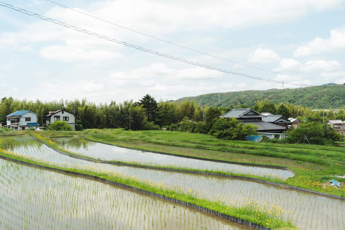 神戸市北区有野町唐櫃の売買物件/緑いっぱいの風景に清らかな水の流れを感じます
