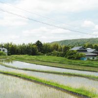 神戸市北区有野町唐櫃の売買物件/緑いっぱいの風景に清らかな水の流れを感じます