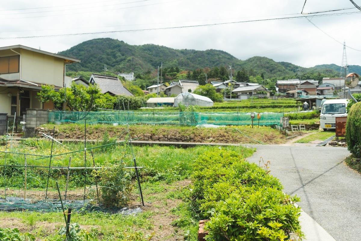 神戸市北区有野町唐櫃の売買物件/物件前からの景色