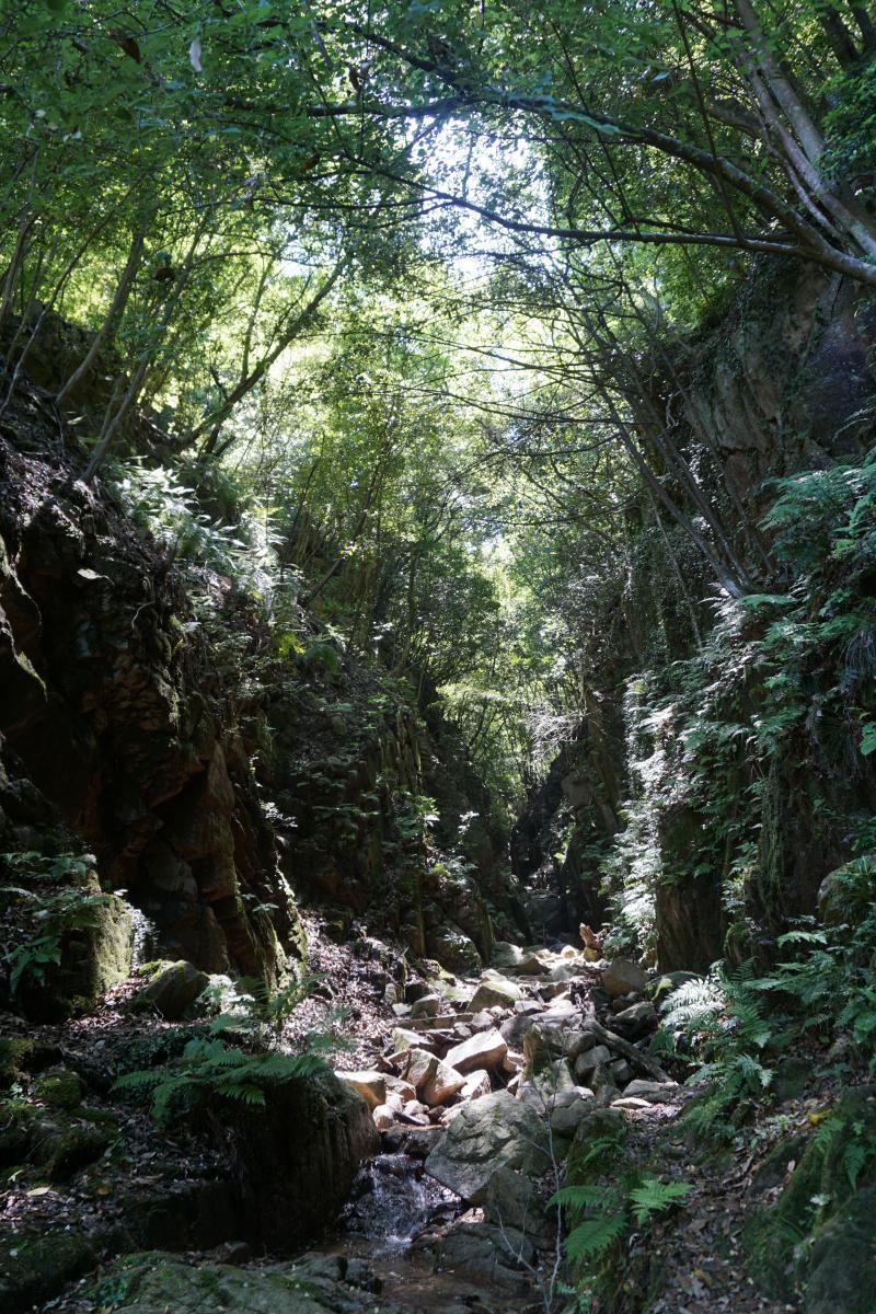 西宮市青葉台の売買物件/生瀬から赤子谷へ。沢歩きも楽しいエリア