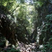 西宮市青葉台の売買物件/生瀬から赤子谷へ。沢歩きも楽しいエリア