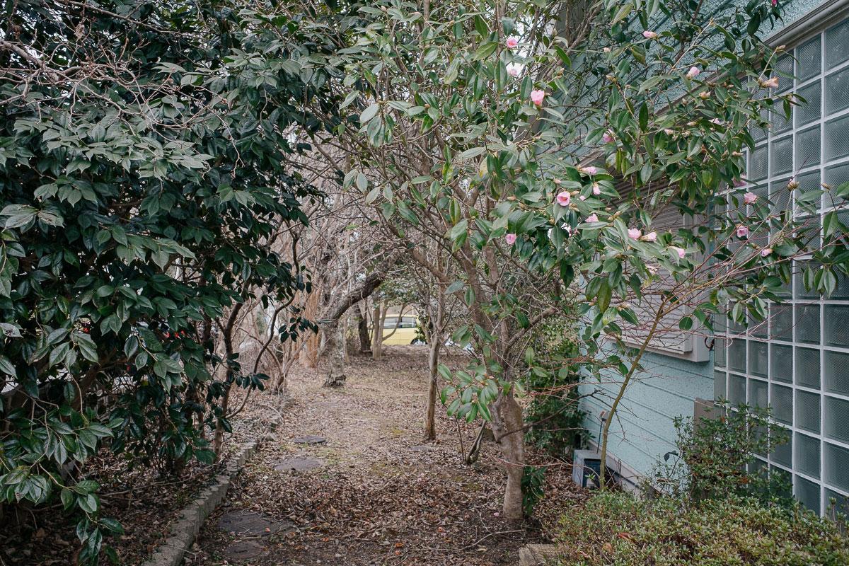 神戸市北区道場町生野の売買物件/木々のトンネルを通れば、愛しの庭へ