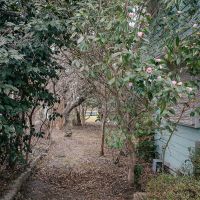 神戸市北区道場町生野の売買物件/木々のトンネルを通れば、愛しの庭へ