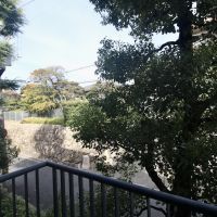 芦屋市楠町の賃貸物件/LDKの開き窓の先に、木々と石垣の街並み。