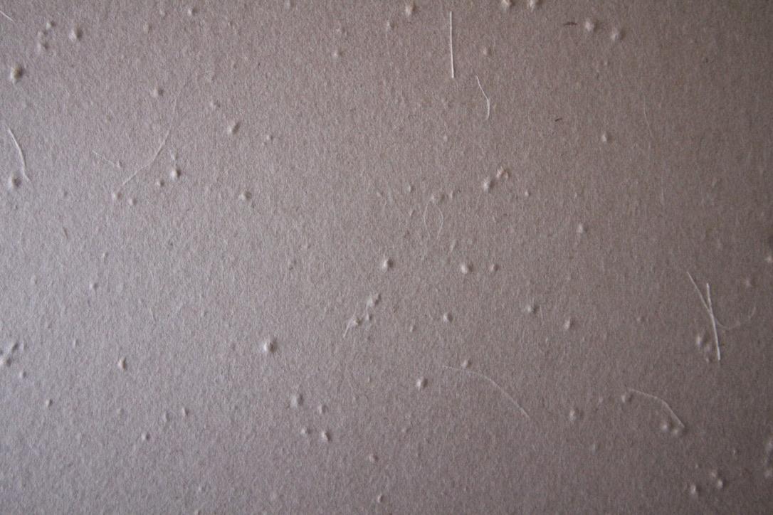 芦屋市楠町の賃貸物件/表情のある和紙を用いた襖。