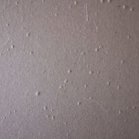 芦屋市楠町の賃貸物件/表情のある和紙を用いた襖。