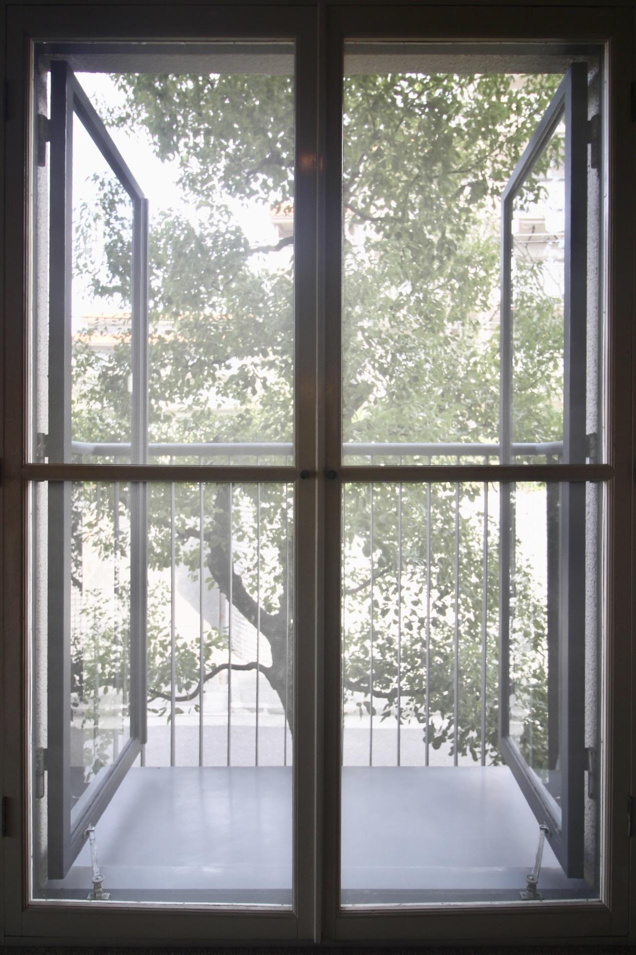 芦屋市楠町の賃貸物件/レトロな木製網戸と鉄の開き窓。その向こうに、木々の緑。