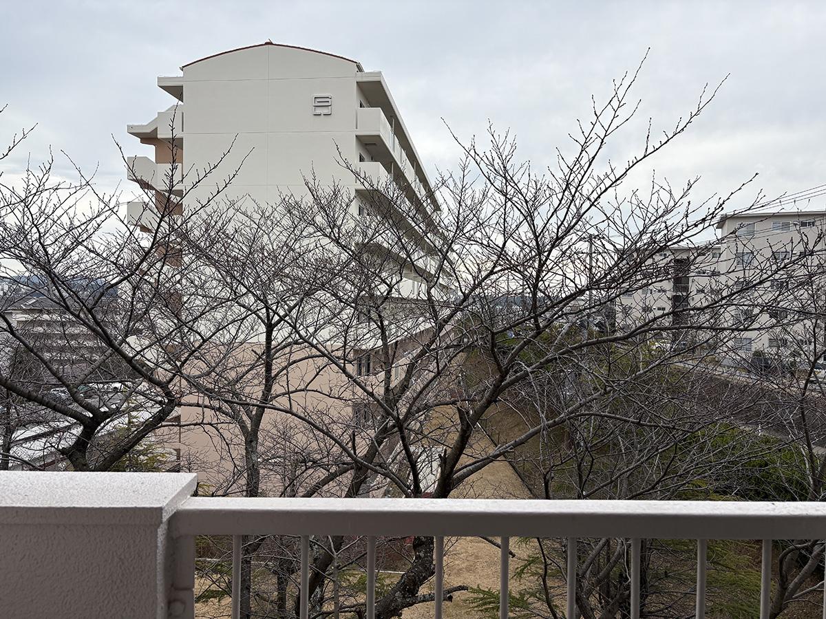 神戸市垂水区神陵台の売買物件/バルコニーでお花見一択