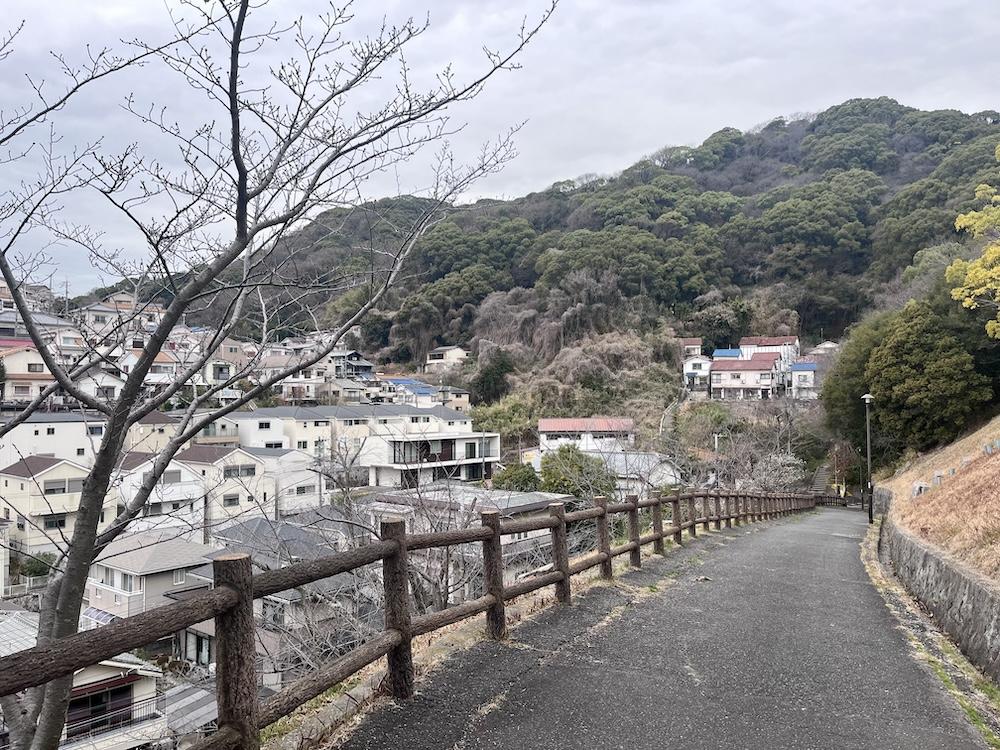 神戸市長田区西山町の売買物件/西山公園から振り返って見た住宅群