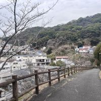 神戸市長田区西山町の売買物件/西山公園から振り返って見た住宅群