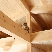 加古郡稲美町加古の売買物件/猫のための家でもあります