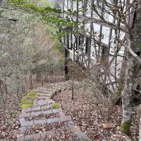 佐用郡佐用町下徳の売買物件/建物の下へ続く小道