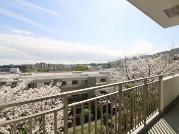 西宮市桜町の売買物件/180度、窓いっぱいに春