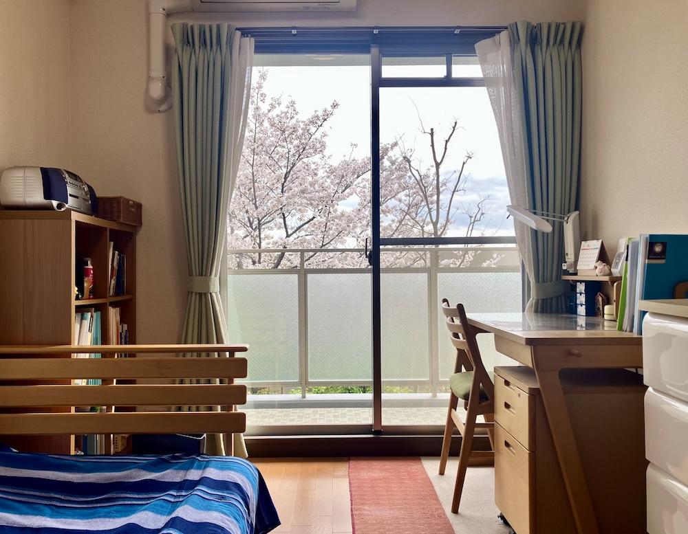 西宮市桜町の売買物件/目の前は桜の木。春はほぼ、桜に包まれる感じ。