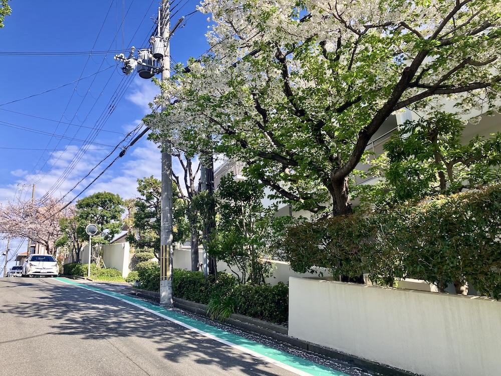 西宮市桜町の売買物件/マンションの内外は、桜や緑でいっぱい。