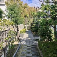 西宮市桜町の売買物件/植栽の通路の先に竹林。自然と一体につながるような感覚。