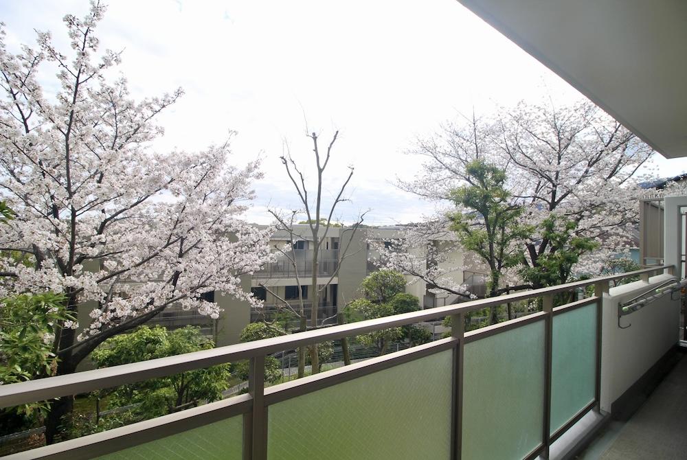 西宮市桜町の売買物件/1階バルコニーの目の前に、桜の木。