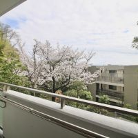 西宮市桜町の売買物件/季節ごとに、新緑や紅葉も。（1階バルコニー）
