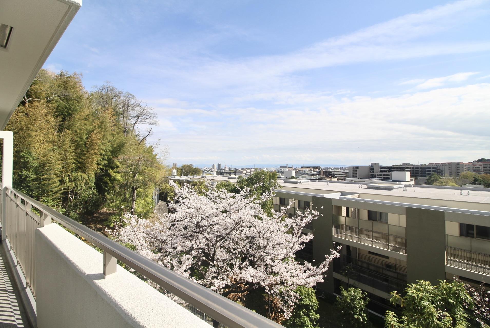 西宮市桜町の売買物件/2階バルコニーからは、桜に竹林、その先に遥か遠くまで広がる景色。