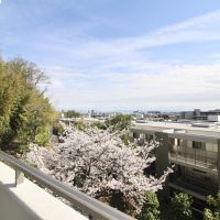 西宮市桜町の売買物件/2階バルコニーからは、桜に竹林、その先に遥か遠くまで広がる景色。